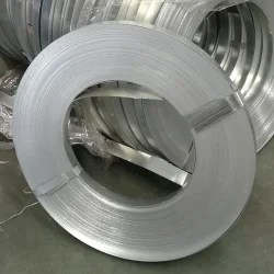 Prepainted Galvanized Steel Strips